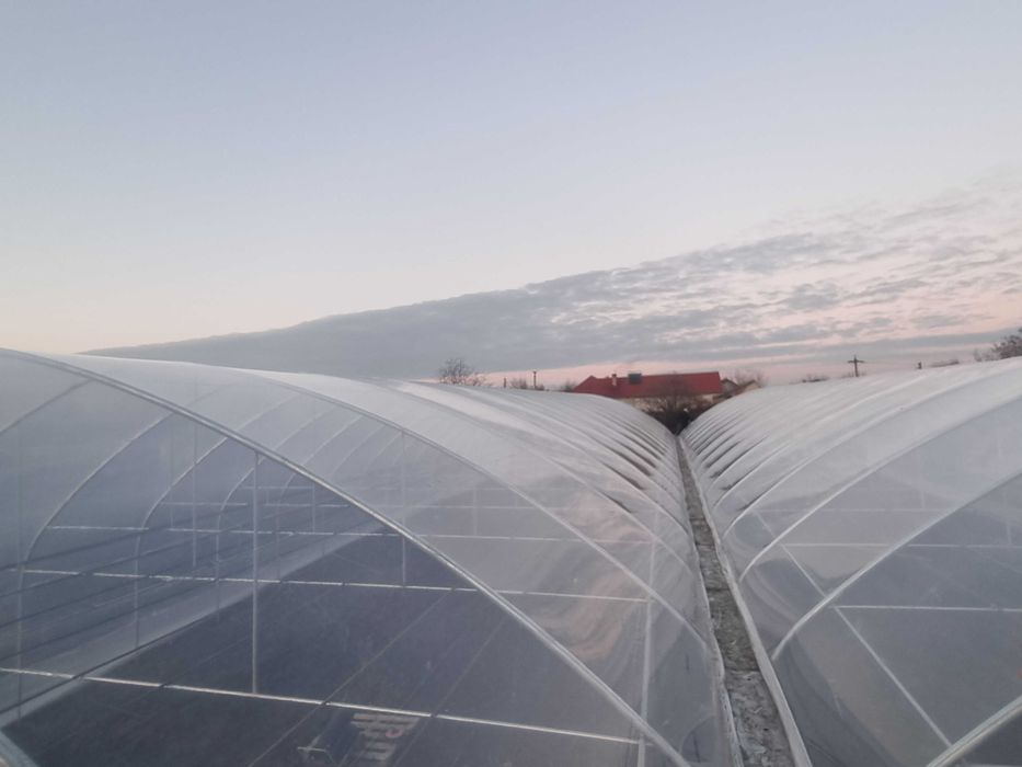 Solarii gradina
