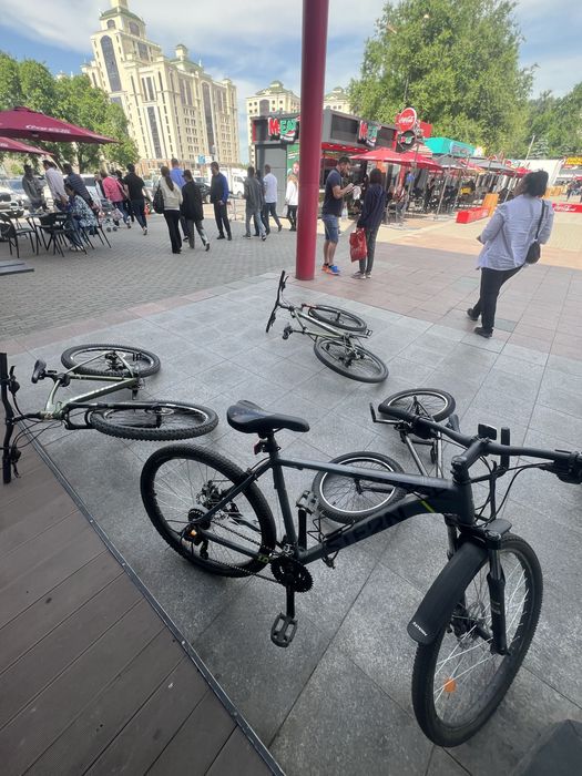 stern 1.0 велосипед