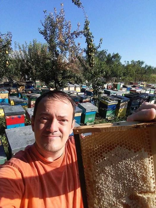 Miere de tei, crudă, zaharisită, 35 lei/kg Livram sâmbăta în Bucuresti