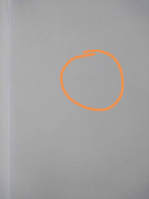 Книга "Тайните на Стефи"