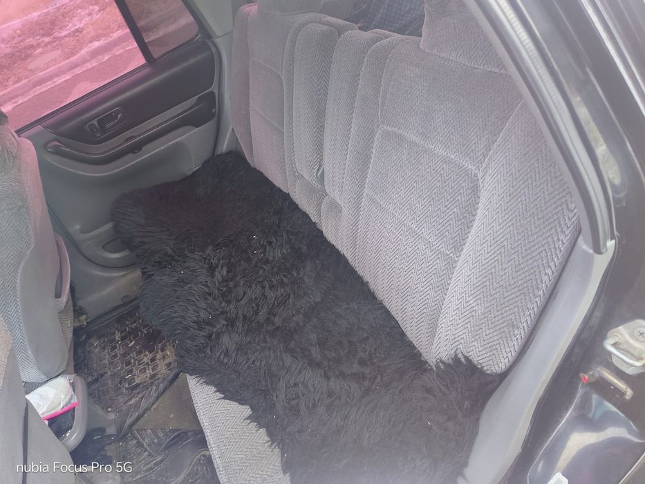 Срв 1997 Америка срочно