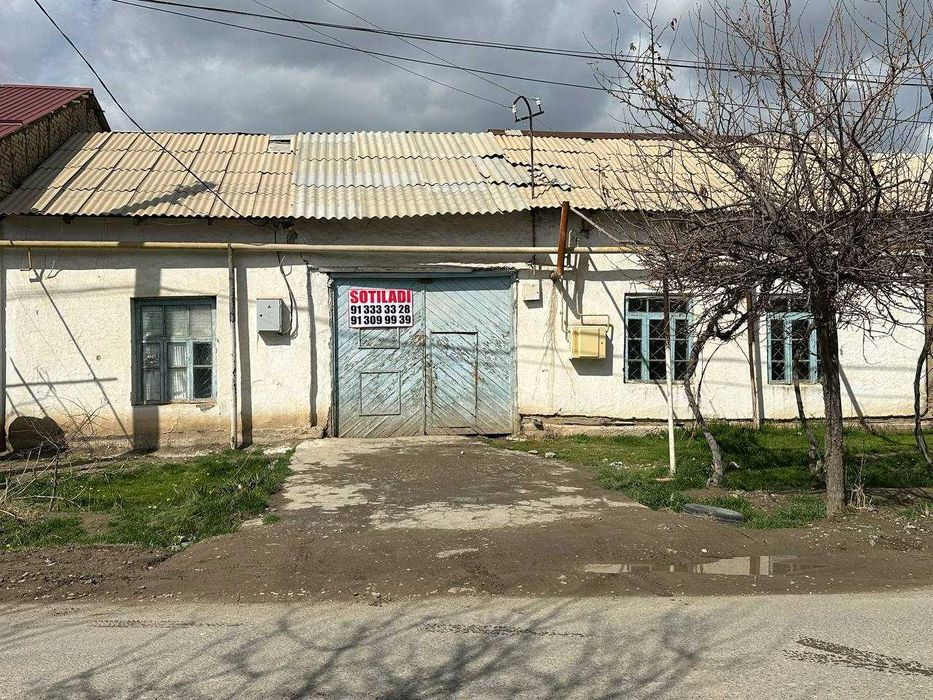 Shafqatsiz hayvonlar jinsiy aloqa