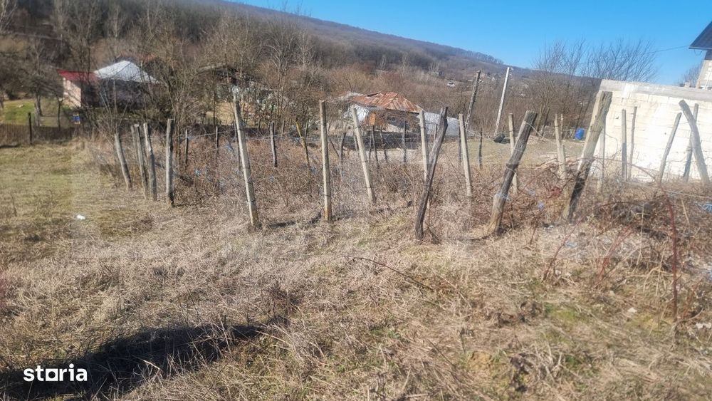 Casa renovata plus teren 2000 mp ,VARBILA