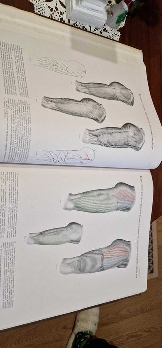 Медицински АТЛАС от 1949 г.