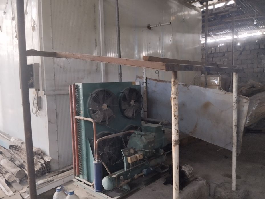 Музлатгич Тошкентда