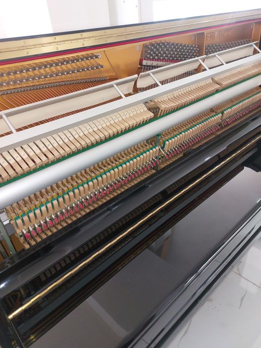 Pianina Astor ( transport gratuit  & garantie)
