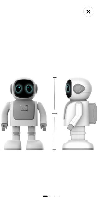 Robot interactiv Robert