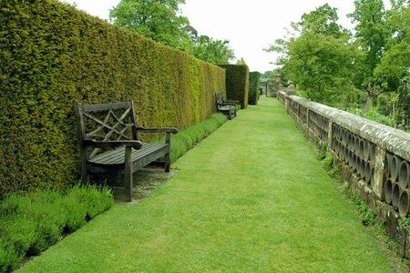 Живая Изгород и Бюричина