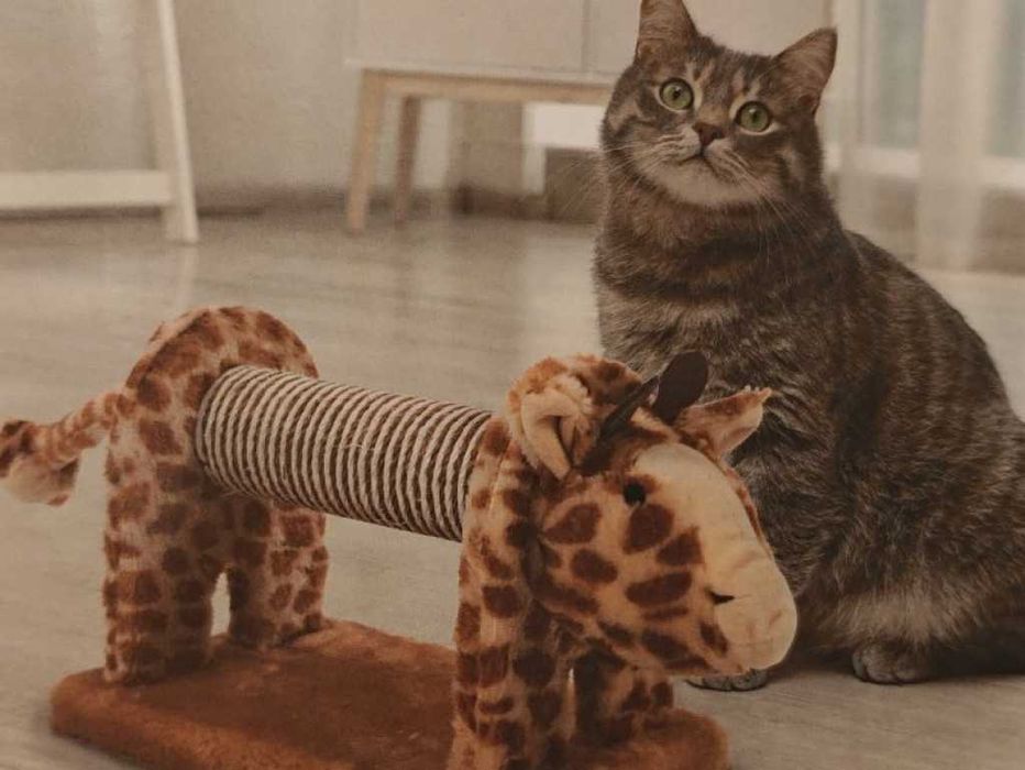 Играчка Драскалка за котка във формата на жираф