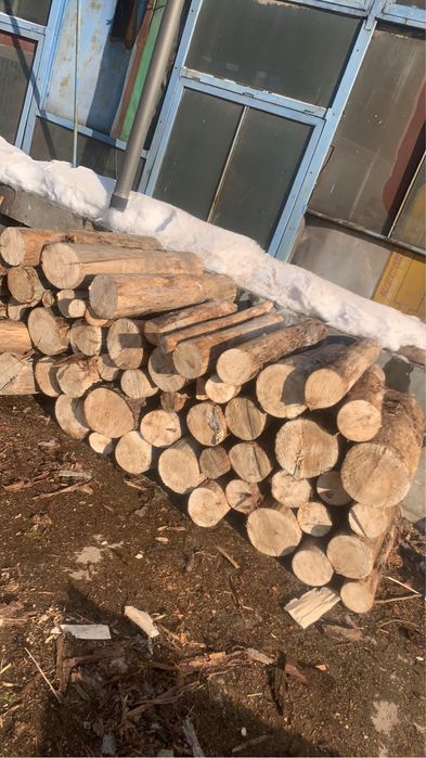 Vand lemne de plop la 250lei metru ster