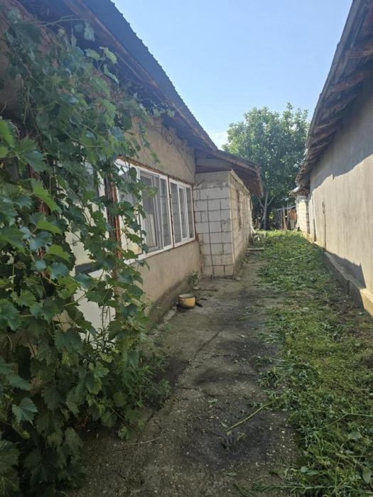 casa e vanzare in slobozia giurgiu 27000€ mai multe detalii in privat