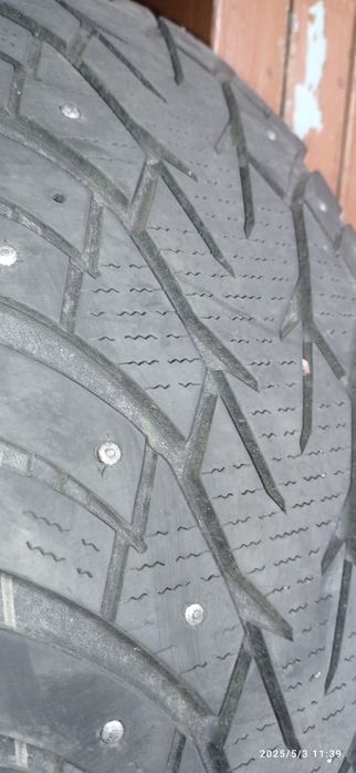Автошины шипованные