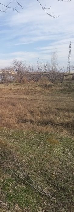 Yer sotiladi issiqxonasi bilan