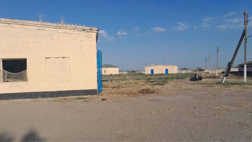 Er sotiladi Jizzax shahar Manasda tayyor ferma