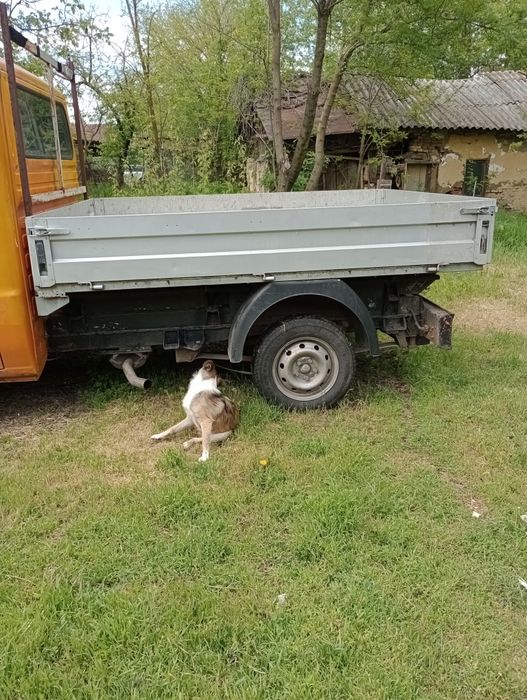 Fiat Ducato carosată
