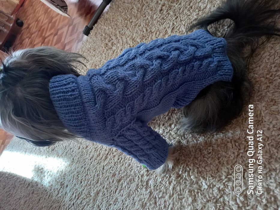 Одежда для собак