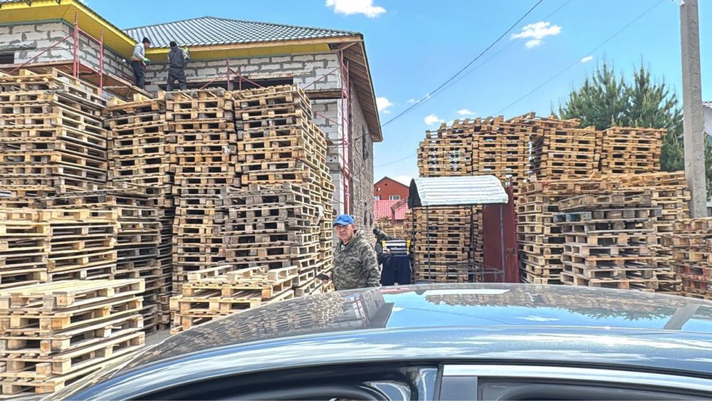 Поддоны паллеты куплю