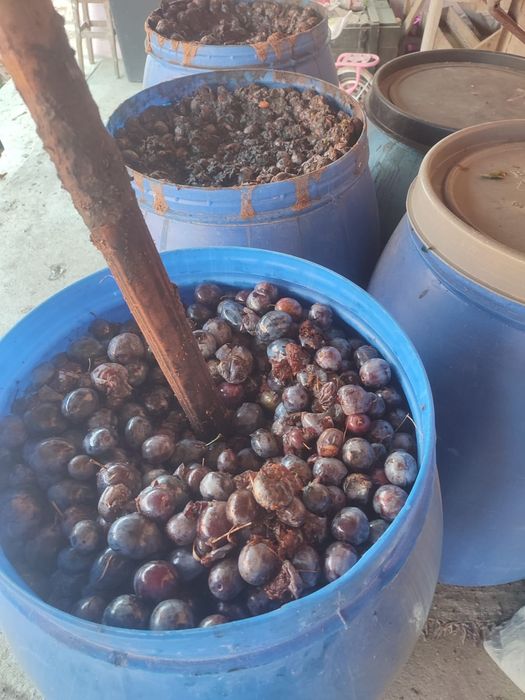Vând prune naturale 100%