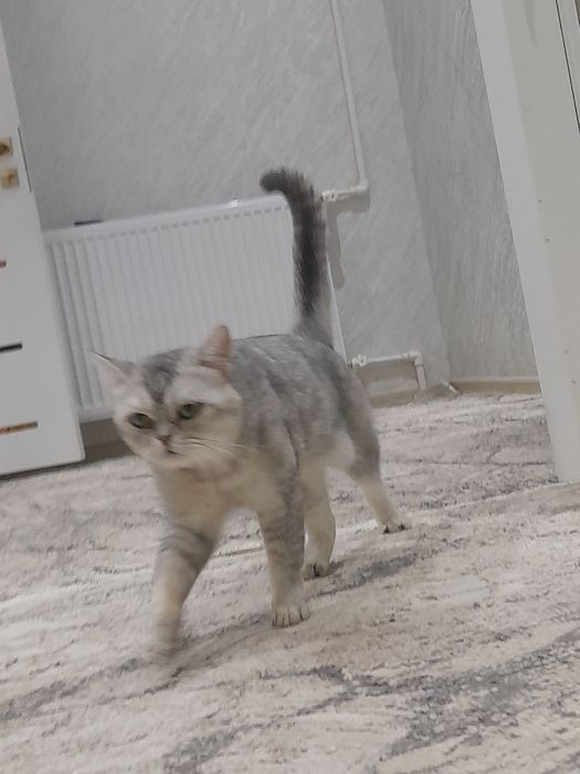 Chiroyli uyqichi erkak ...
