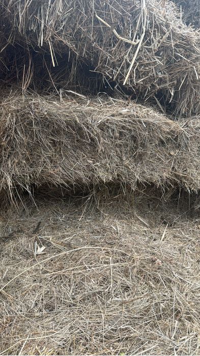 Продается сено в тюках