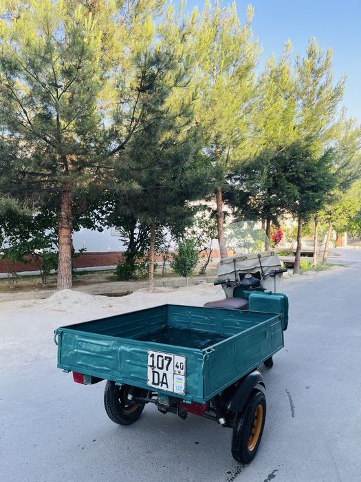 Муравей янги холатда