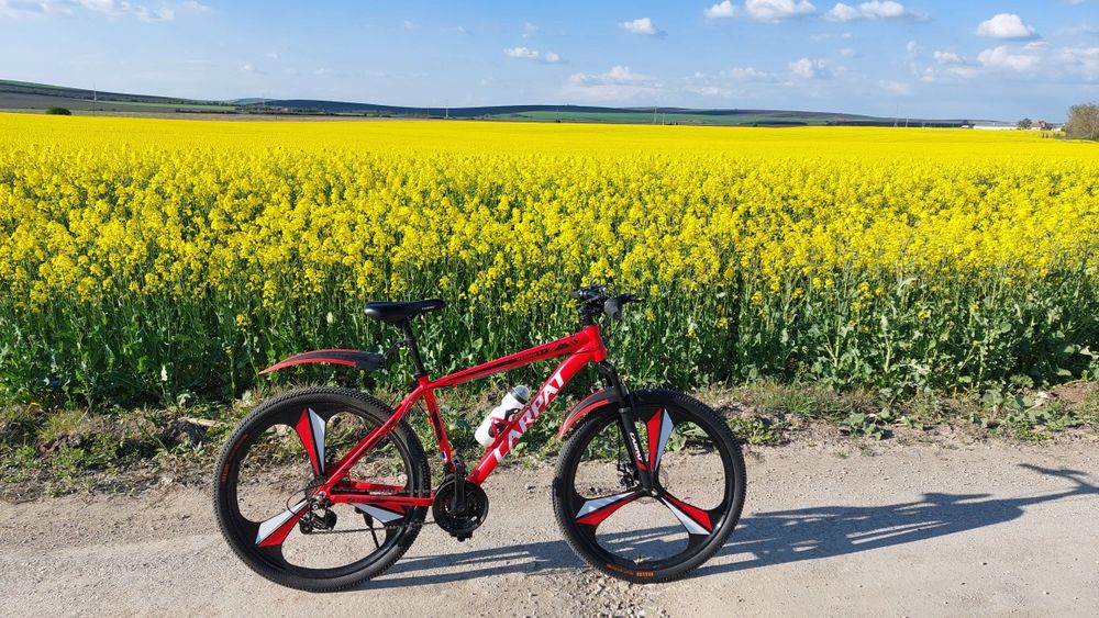 Bicicleta carpat