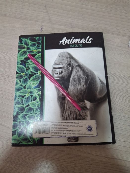 Тетрадь и ручка волшебный