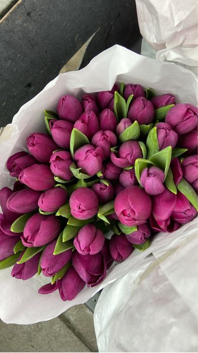 Тюльпаны оптом Алматы. Цена от 450 тг
