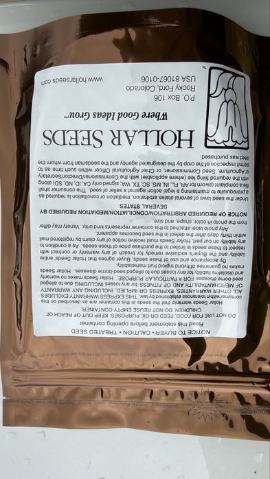 Холлор Дарбыз Ұрық