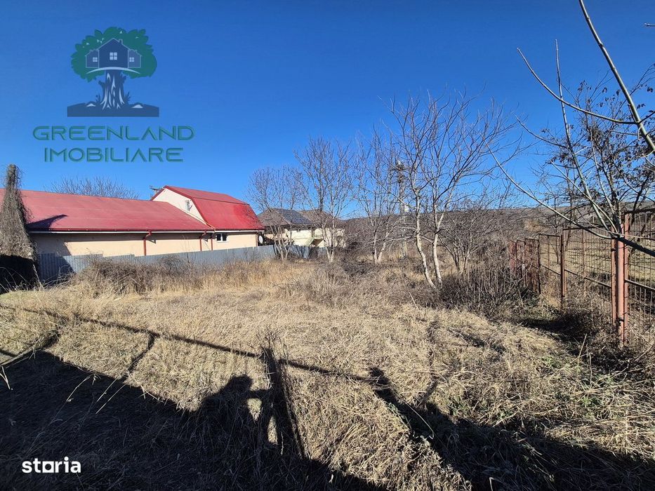 TEREN INTRAVILAN 1650mp, Lunca Cetatuii