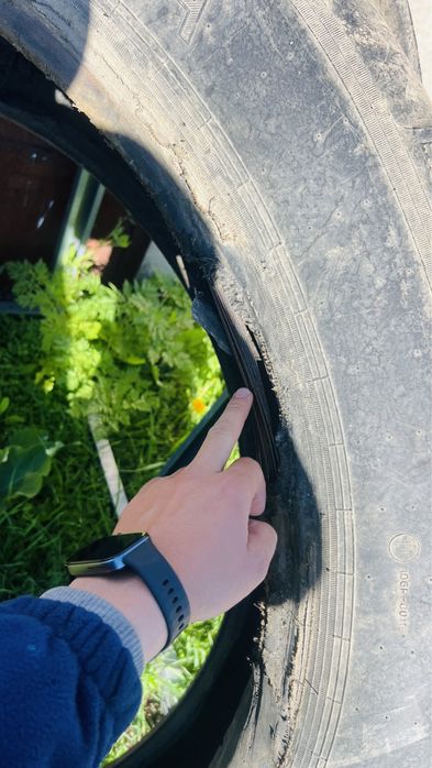 Покрышка МТЗ Беларусь 15.5