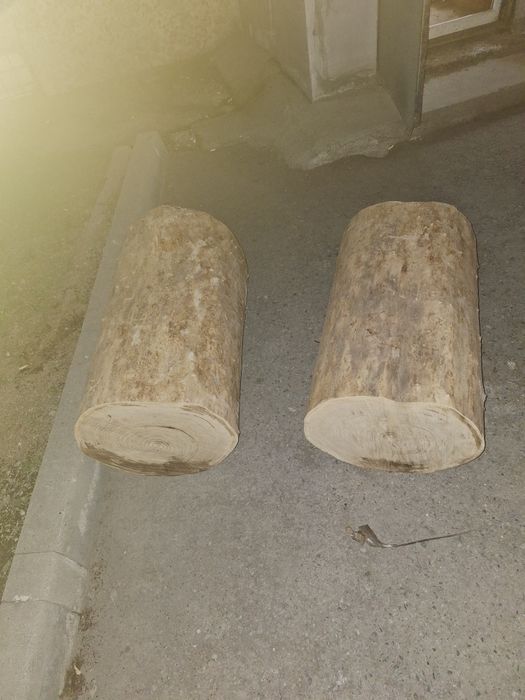 Продам чурбак карагача