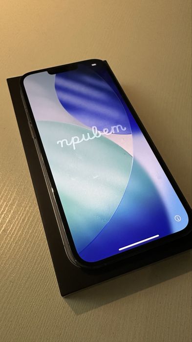 Iphone 13 PRO MAX 1 Tb