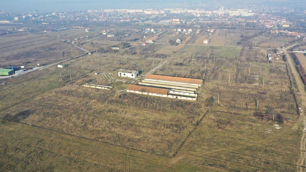 Teren Intravilan Filiasi - 55000 mp