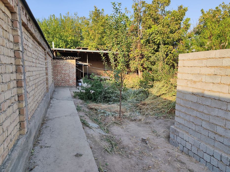 Koʻksaroyda 4- soʻtik yer sotiladi