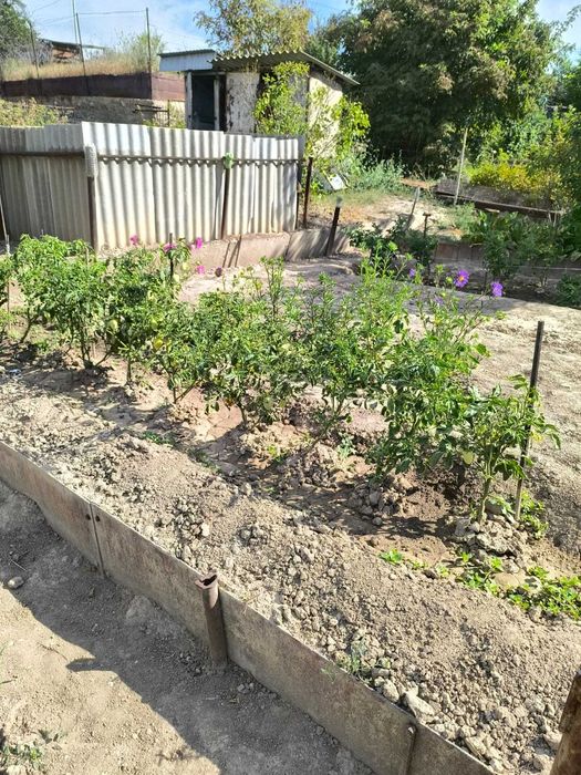 Продам дачный домик с участком в пригороде Алматы