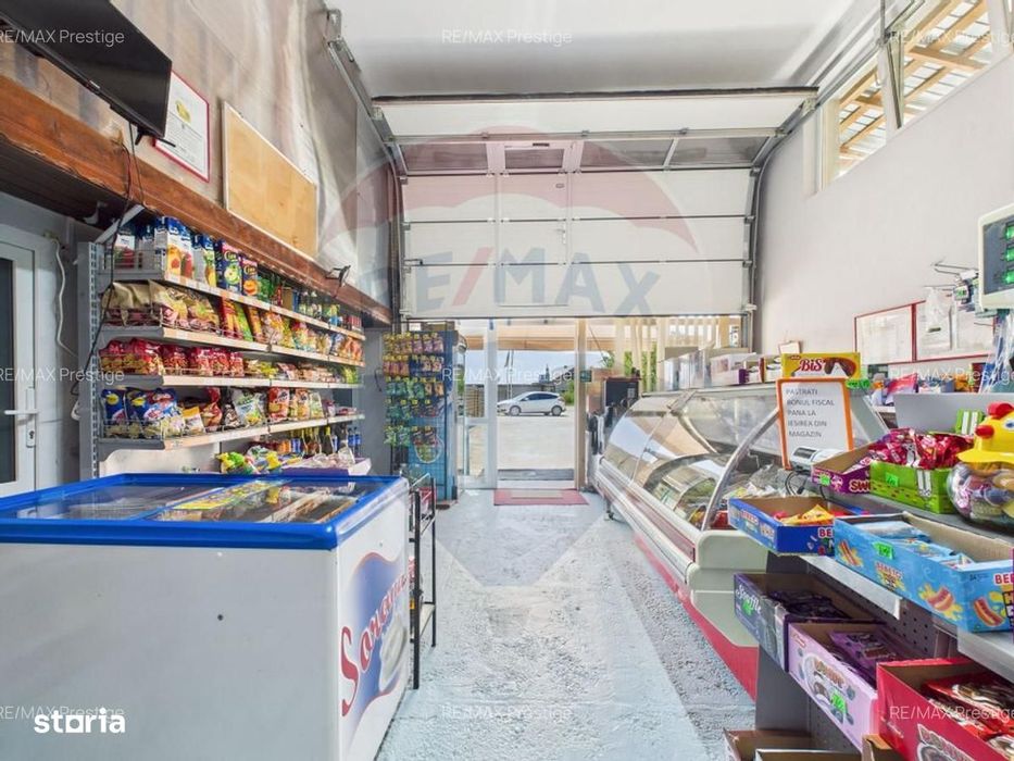 Magazin Mixt / Hală Depozitare / Producție / Comerț + Casă