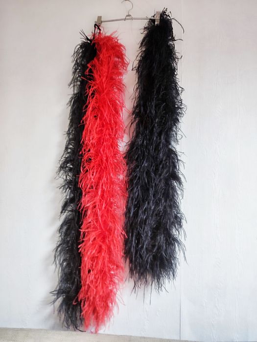 Перья страуса боа