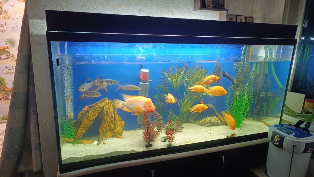 Аквариум 650 литров