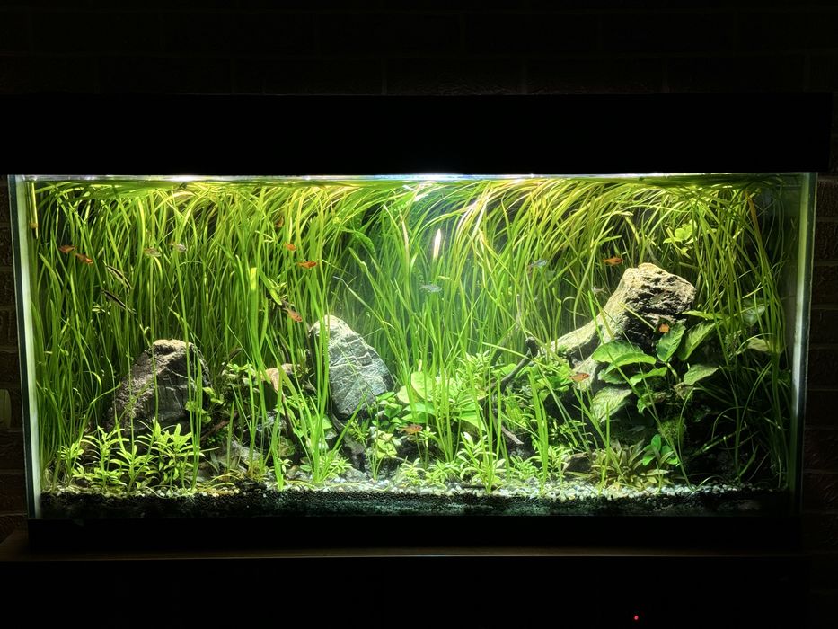 Vand acvariu complet 300l