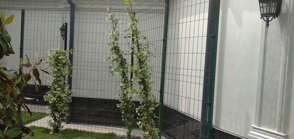 3D Setkalar eng arzon narxlarda