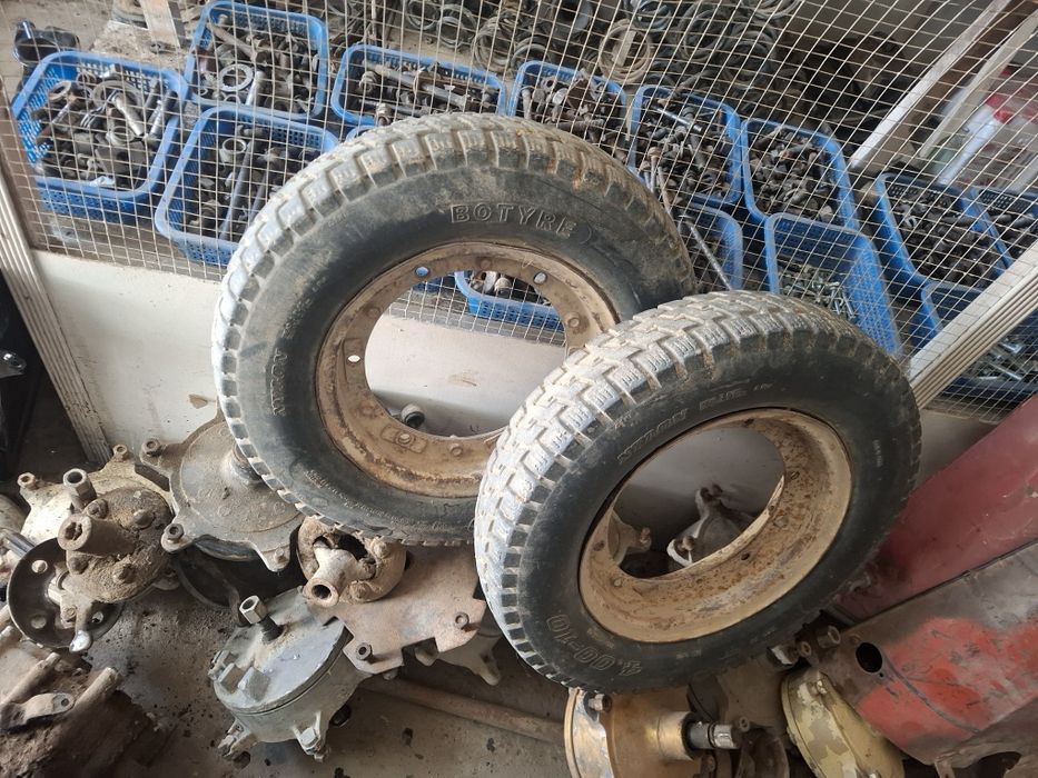 Муравей балонлар