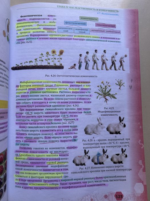 Книга по биологии 10 класс