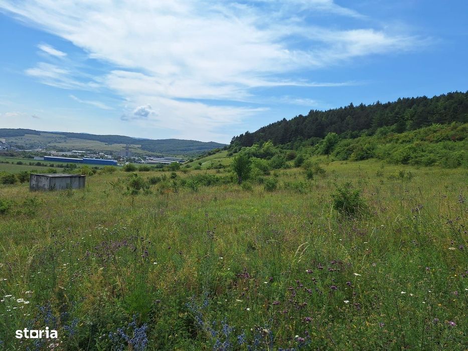 Teren intravilan 5.800 mp, Baciu Vatra Satului Vechi, Panorama superba