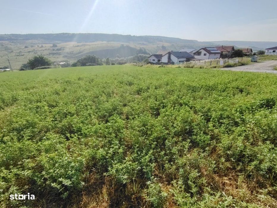 Teren Pentru Dezvoltare Imobiliara - 7.092 Mp - Corusu, Baciu