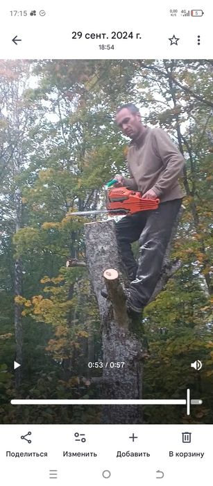 Дарахт кесиш хизмати спилим дерево обрезка