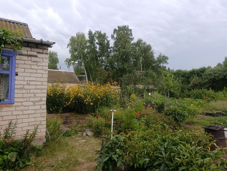 Продам дачу в СО "Горизонт" (г.Петропавловск)
