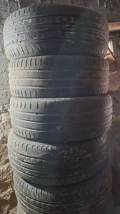 Gentraga b u balonlar