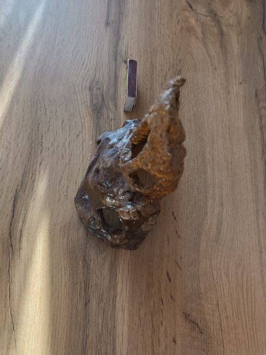 Для аквариума карал