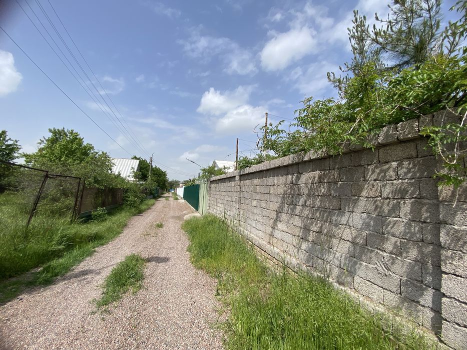 Дача Нурафшон Ташморе оркаси тойтепадан утганда